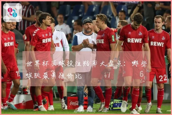 世界杯买球投注赔率大盘点：哪些球队最具性价比