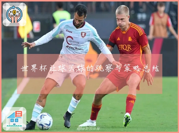 世界杯让球买球的观察与策略总结