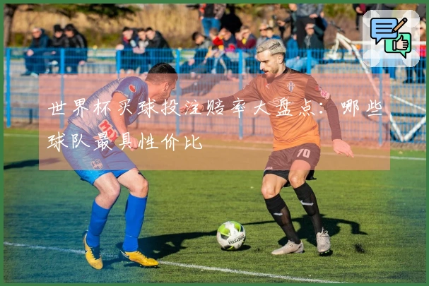 世界杯买球投注赔率大盘点：哪些球队最具性价比